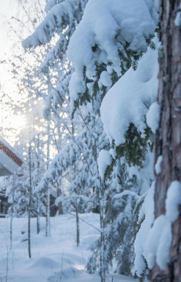 Villa Kurpitsa At Messila Ski & Camping Hollola Eksteriør bilde